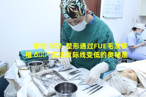 华怡 🌷 整形通过FUE毛发移植 🌳 实现发际线变低的奥秘是什么